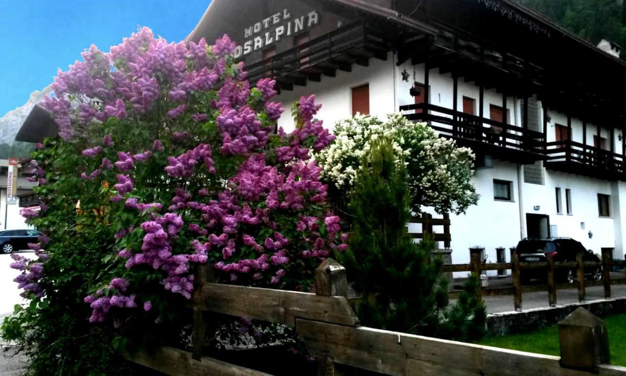 רוקה פייטורה Hotel Rosalpina מראה חיצוני תמונה